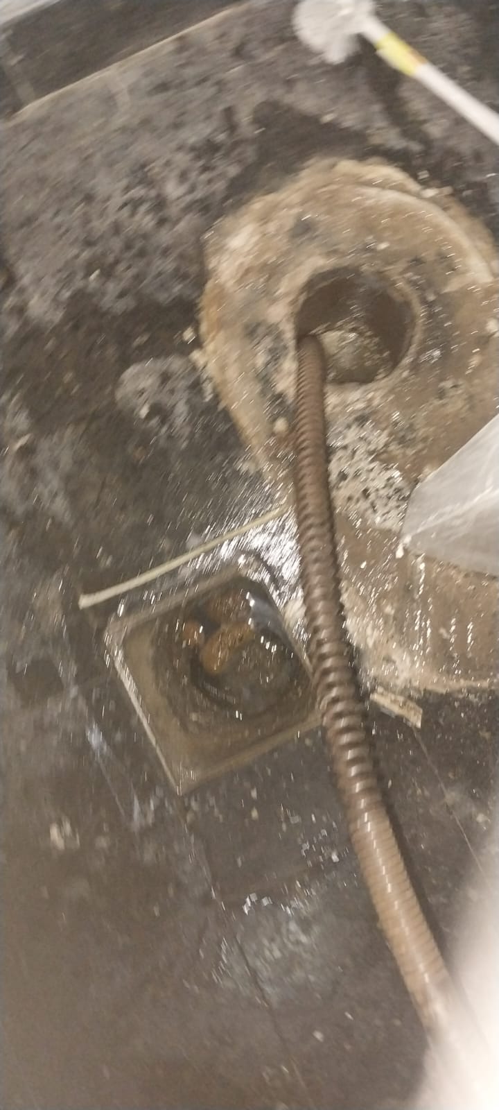 Nuestros trabajos